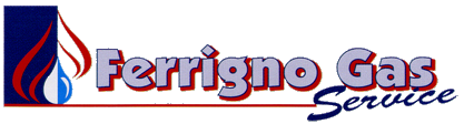 Ferrigno Gas Service - Gestionale